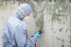 Professional Mold Removal in North Prairie, WI